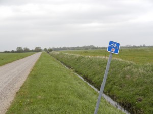 Cykelledsmarkering mitt ute i ödemarken. 