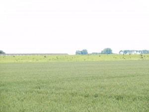 Img_20150701_200746