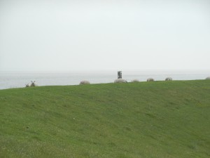 Img_20150705_210630