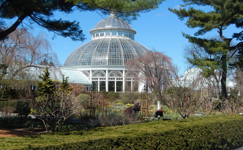 New York – Botaniska trädgården